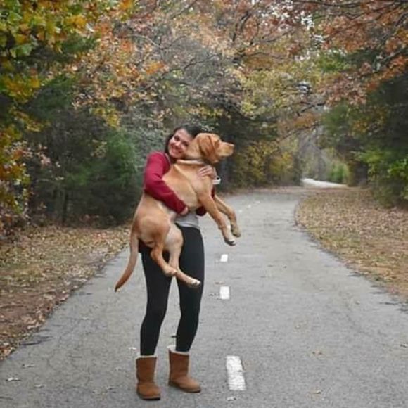 Meet your Posher, Sam - Picture 1 of 1